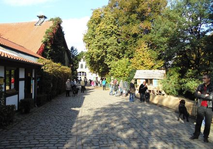 Meierhof in dierenpark Olderdissen