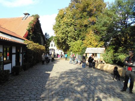 Meierhof in dierenpark Olderdissen