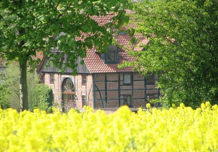 Boerderij achter koolzaadveld
