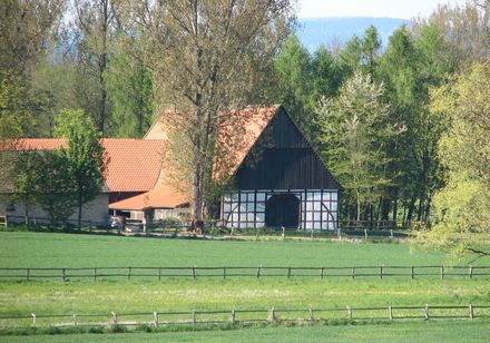 Uitzicht op binnenplaats in Steinheim-Hintereichholz