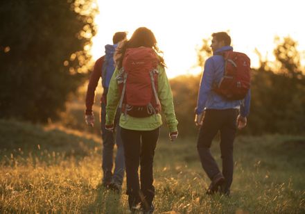 Drie wandelaars in de ochtendzon