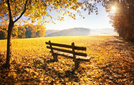 Een bankje in Marsberg met herfstsfeer