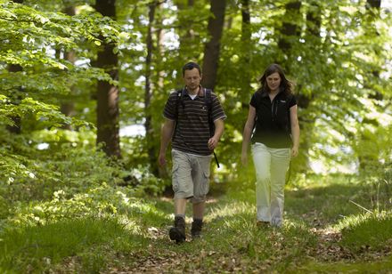Twee wandelaars in de beukenbossen op de hellingen van de Weser in het Teutoburgerwoud / Natuurpark Eggegebergte
