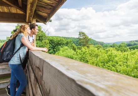 Uitzicht vanaf de Wisentturm