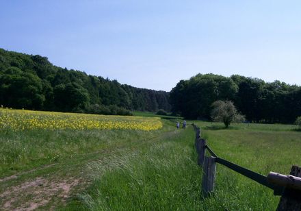 Wandelen in het Teutoburgerwoud bij Lienen