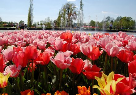 Gartenschaupark Rietberg, ingang noord. Vakantieregio Teutoburgerwoud