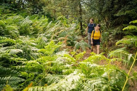 Weelderige vegetatie op de Velmerstot