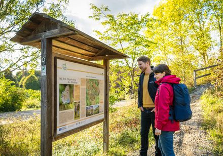 Wandelaars voor een wegwijzer op het vlinderpad in Willebadessen