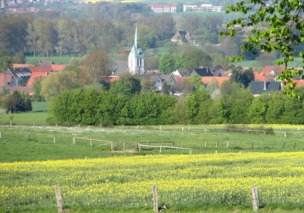Uitzicht op Steinheim-Bergheim
