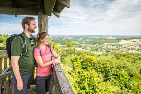 Uitzicht vanaf de Luisenturm bij Borgholzhausen