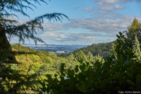 Prachtig uitzicht vanaf het Waldhotel Brand's Busch