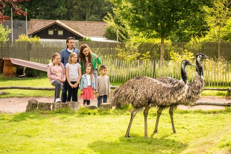 Vogelpark Heiligenkirchen