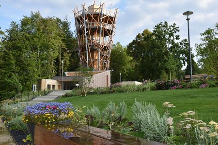 De boomtopwandeling in Bad Iburg