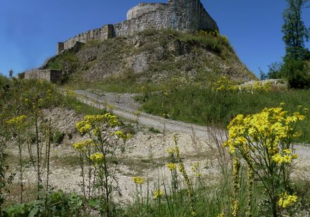 Kasteelruïne Falkenburg