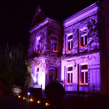 Steinheim Verlichting Reineccius Markt