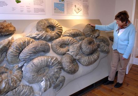 Geologie in het gemeentelijk historisch centrum Borgholzhausen