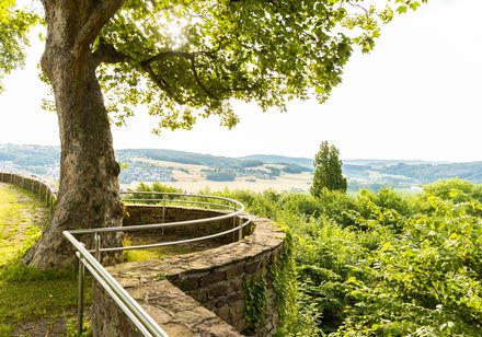 Ausblick an der Burgruine Vlotho