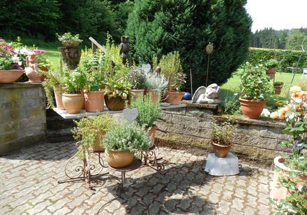 Kruidentuin bij Landgasthof Mücke in Marsberg
