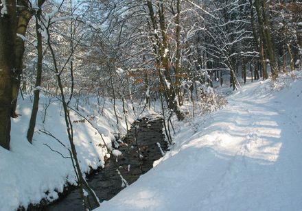 Schopke dal in de sneeuw