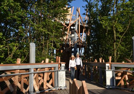 Paar op de boomtoppenwandeling in Bad Iburg
