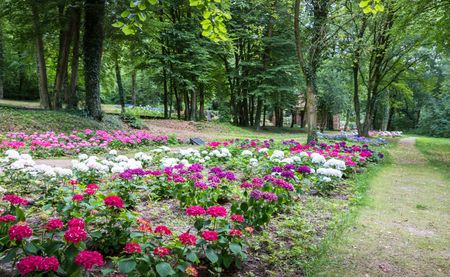 Kleurrijk bloembed in de Hortensiatuin Lengerich