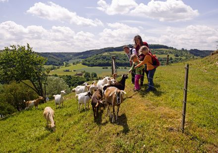 Gezin met geiten - kalkgrasland Dalhausen
