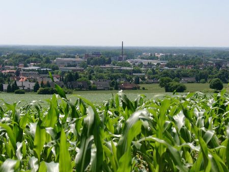 Uitzicht op Dissen