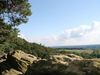 Blick vom Plisseefelsen, Dörenther Klippen. Foto: Stadtmarketing Ibbenbüren