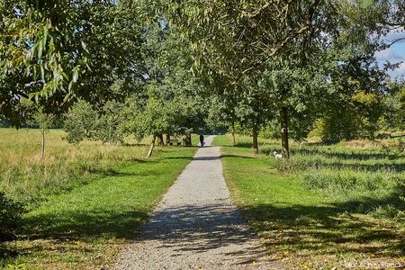 Promenade Hermannsweg am Waldhotel Brand's Busch