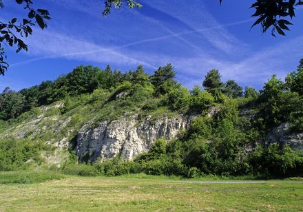 Schelpkalksteen in het Teutoburgerwoud / Natuurpark Eggegbirge