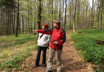 Wandeling op de Freeden Bad Iburg