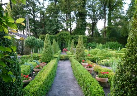 “Hedge theater” in Lienen