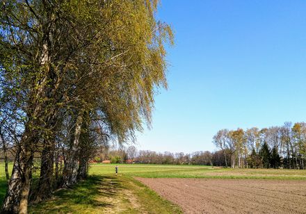 Natte weiden in Steinhagen
