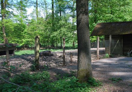 Willebadessen wildreservaat