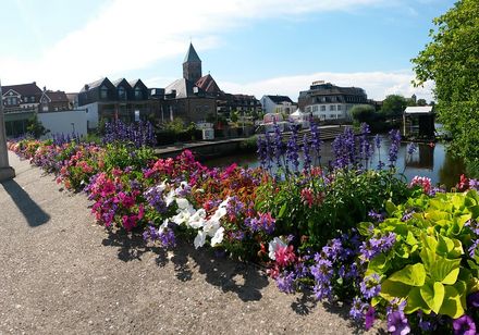 Rheine Emsfestival