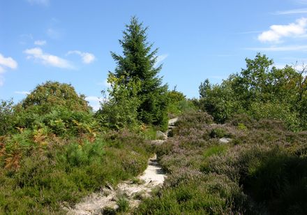 Lippischer Velmerstot in de zon